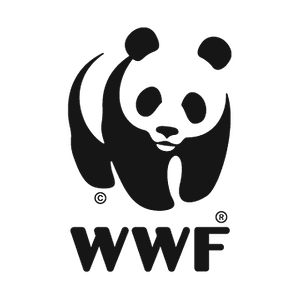 WNF